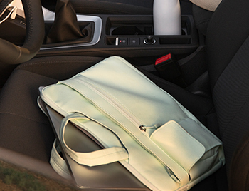 car seat clean 1